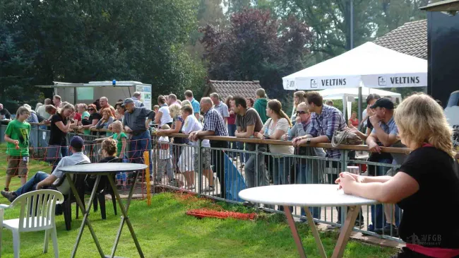 Großes Interesse am Hundesport