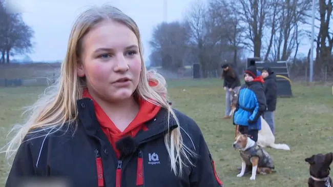 TV-Bericht über Hundeausbildung Jugendlicher beim VFGB-Reken e.V.