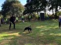 Impressionen Hunderennen 25.9.2022