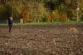 VFGB Reken - Herbstprüfung 2023