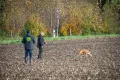 VFGB Reken - Herbstprüfung 2023