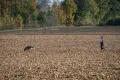 VFGB Reken - Herbstprüfung 2023
