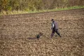 VFGB Reken - Herbstprüfung 2023