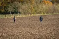VFGB Reken - Herbstprüfung 2023