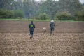 VFGB Reken - Herbstprüfung 2023