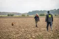 VFGB Reken - Herbstprüfung 2023