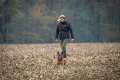 VFGB Reken - Herbstprüfung 2023