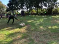 Impressionen Hunderennen 25.9.2022